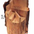 Wood Lumber Cuts 